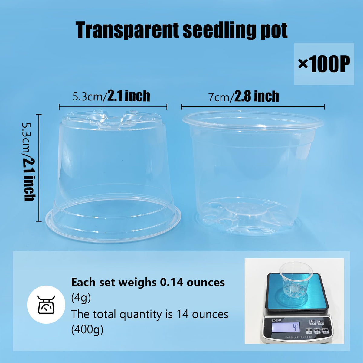 RooTrimmer transparent nursery pot with drainage holes supports healthy root growth.