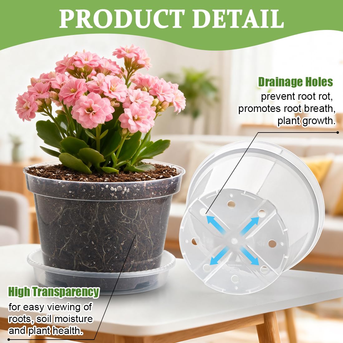 RooTrimmer transparent plant pot, lightweight and durable for indoor use.