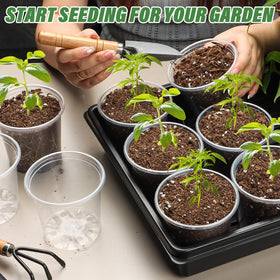 RooTrimmer transparent nursery pot helps monitor growth at a glance.