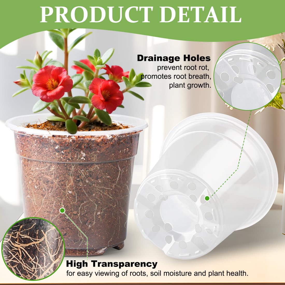 Transparent RooTrimmer pots showcase plant growth from root to leaf.
