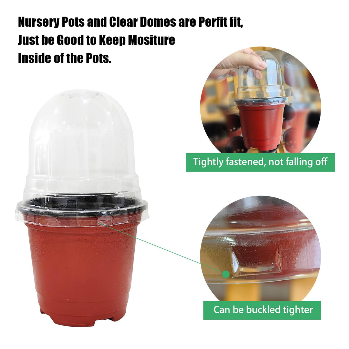 RooTrimmer transparent seedling dome improves air circulation.