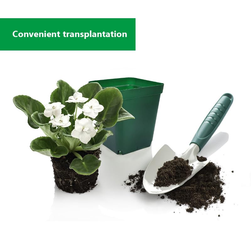 RooTrimmer 4 inch deep pots fit small seedlings and succulents well