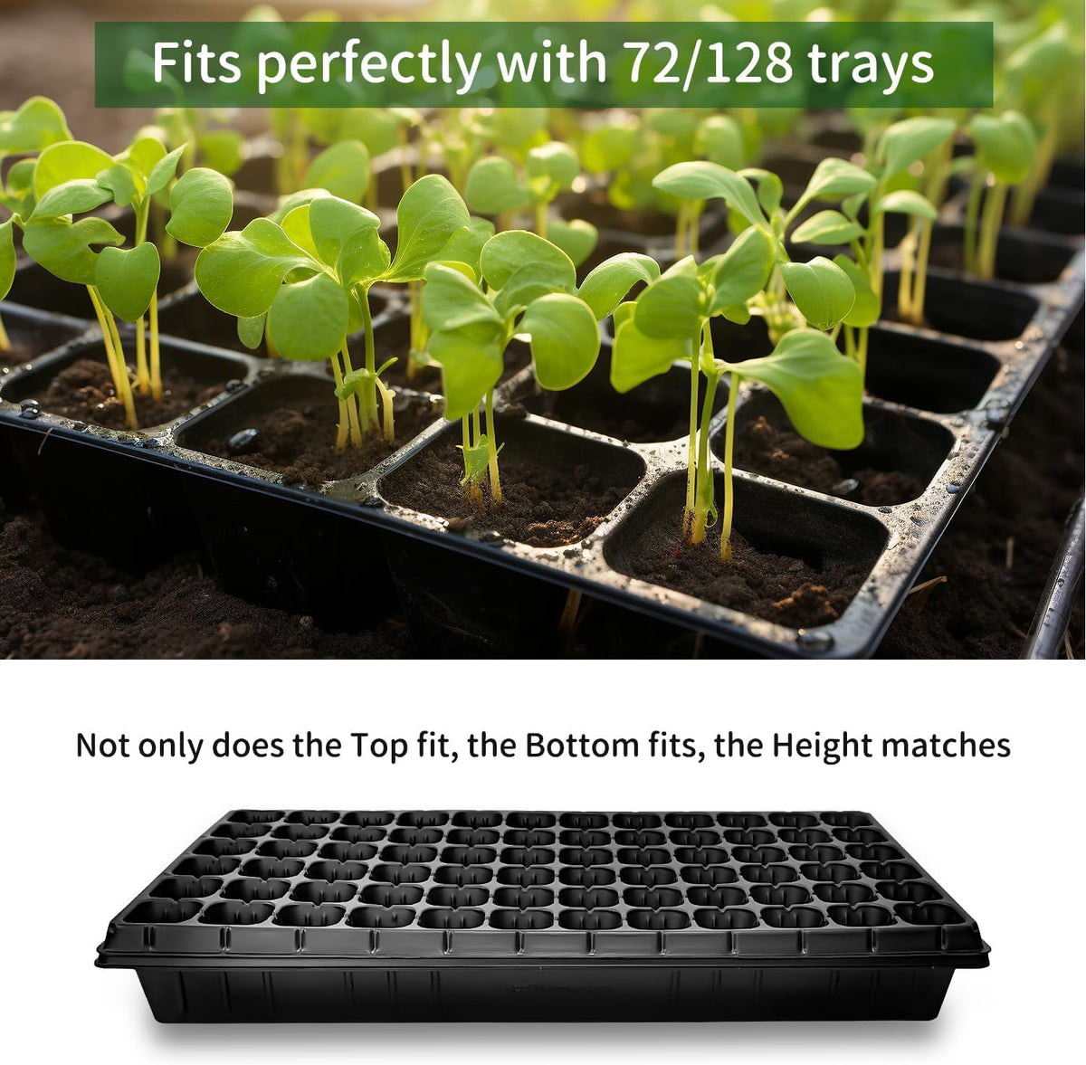 RooTrimmer transport-ready seedling trays for easy moving