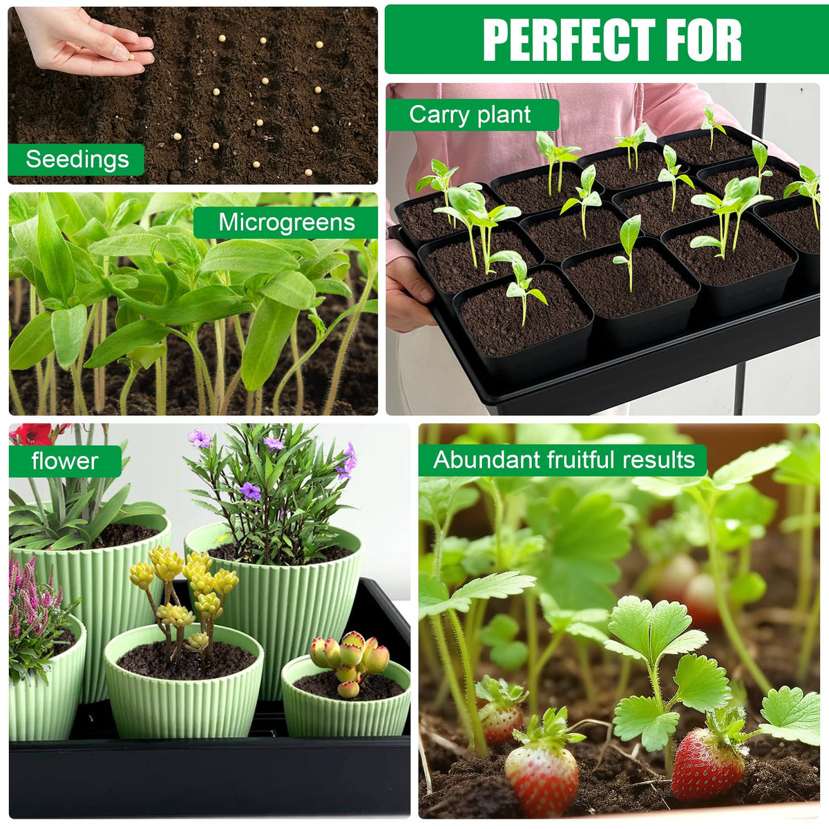 RooTrimmer travel-friendly tray reduces spills during transport.