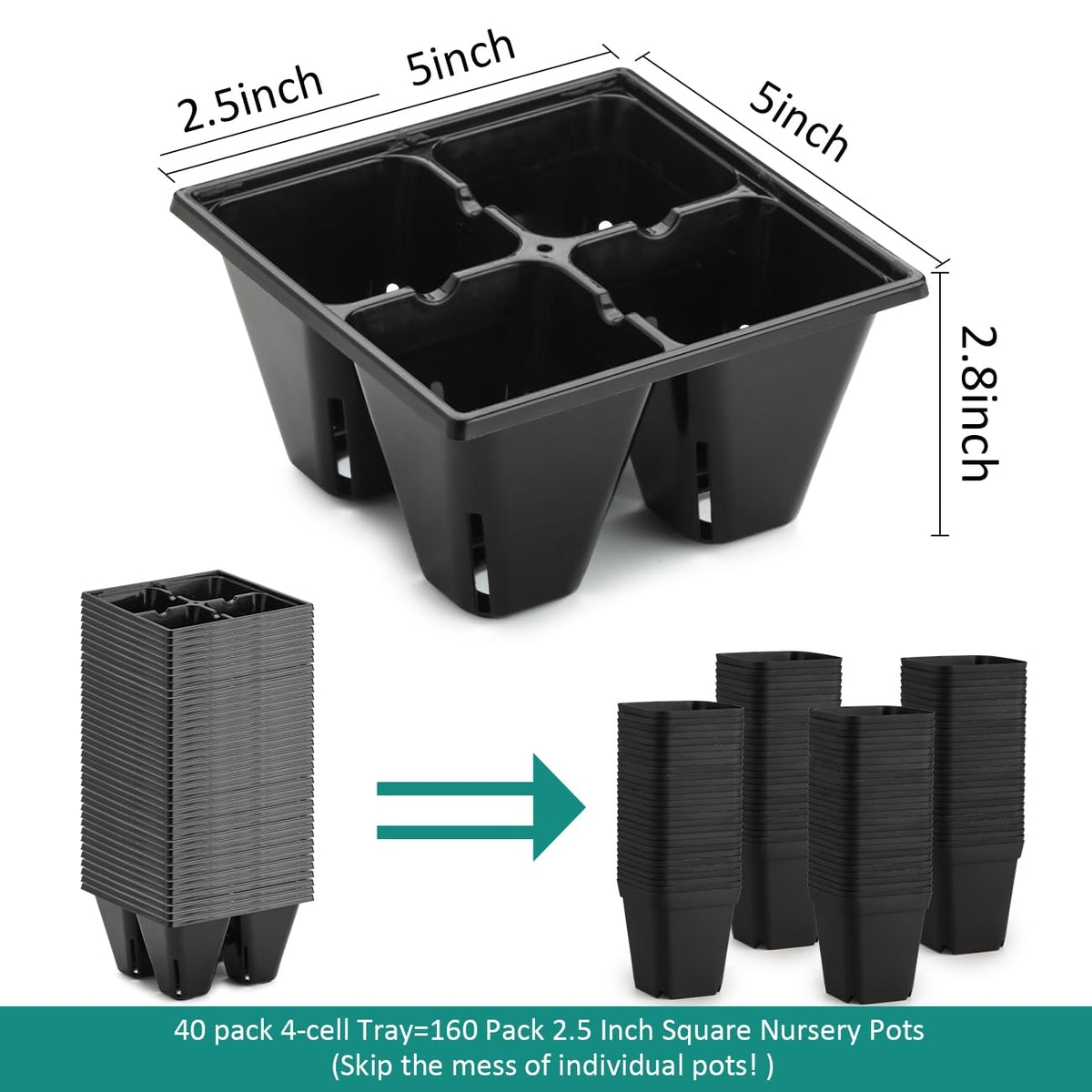 RooTrimmer tray with drainage holes and air pruning for healthier roots.