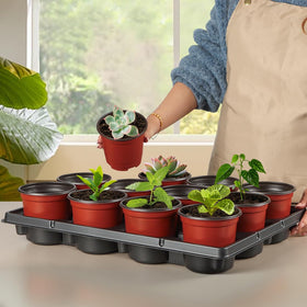 RooTrimmer tray with drainage holes prevents waterlogging during watering.