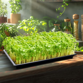 RooTrimmer tray stackable design saves space in grow rooms