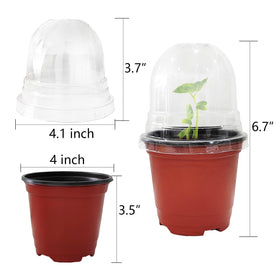 RooTrimmer ventilated-dome-holes improve airflow around seedlings