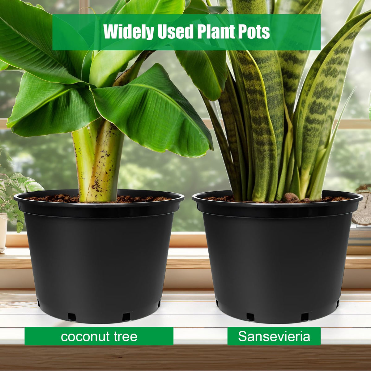RooTrimmer versatile indoor-outdoor pots fit many settings and plantings.