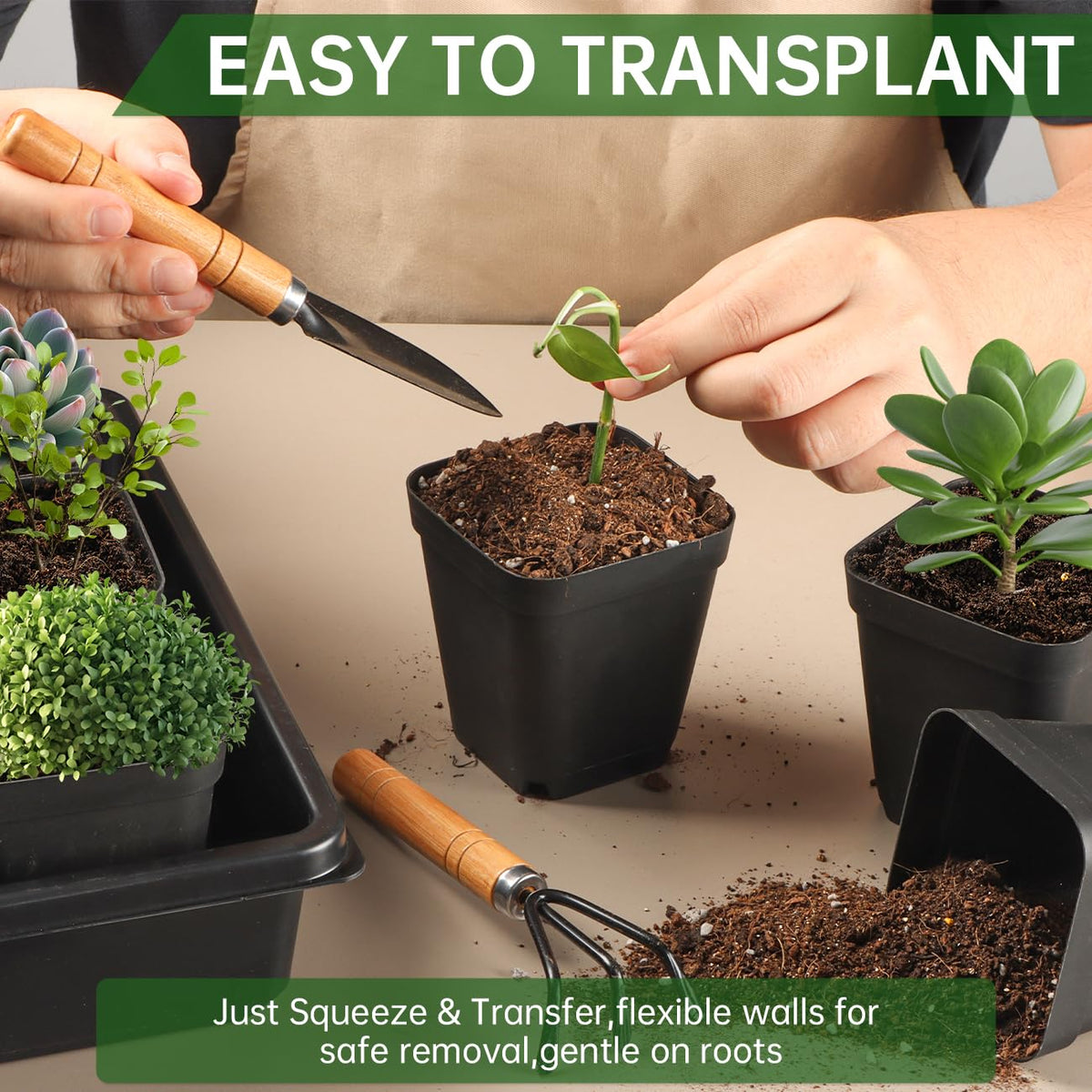 RooTrimmer versatile pots for vegetables, herbs, and flowers indoors or outdoors