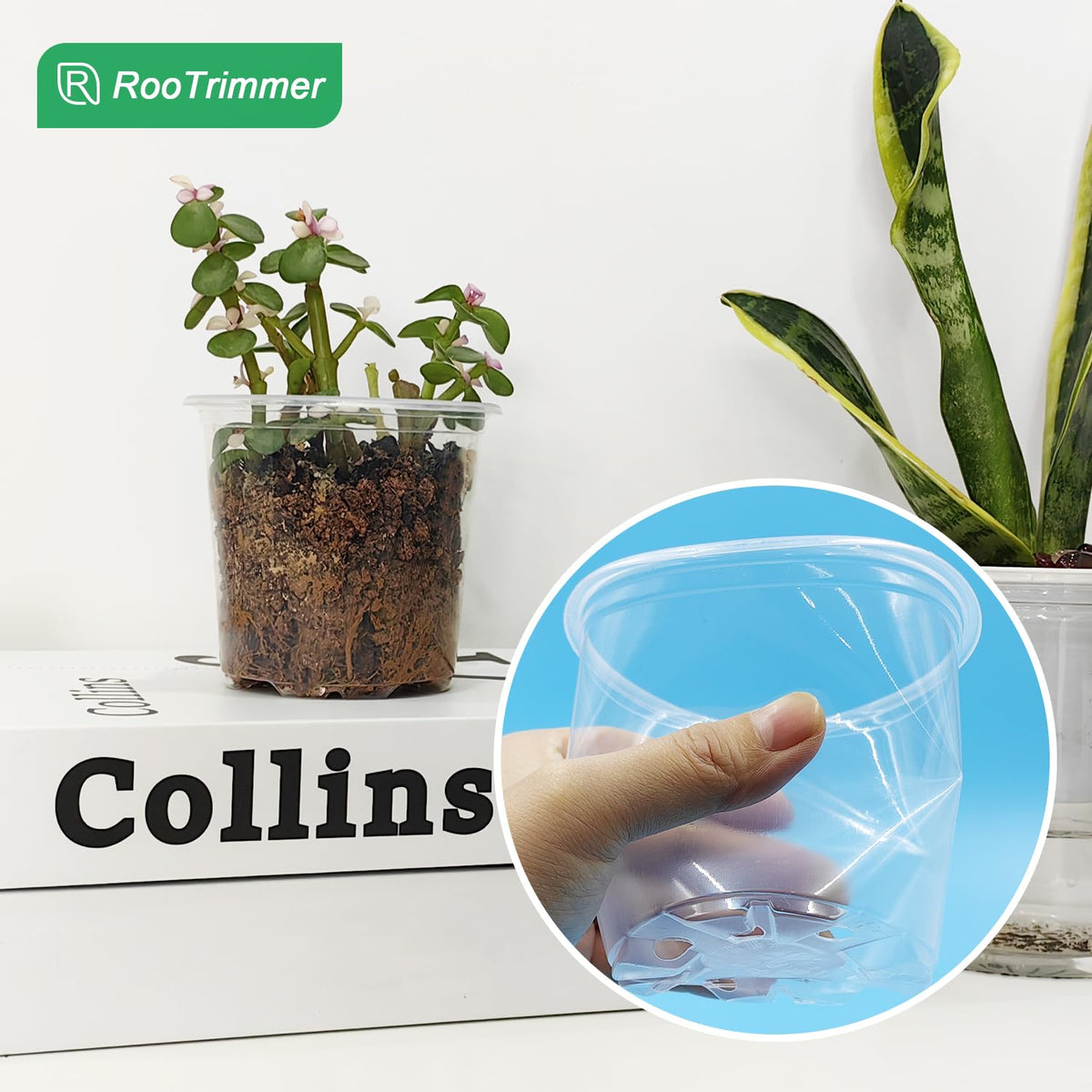 RooTrimmer versatile pots ideal for seeds, seedlings, cuttings, vegetables, and herbs.