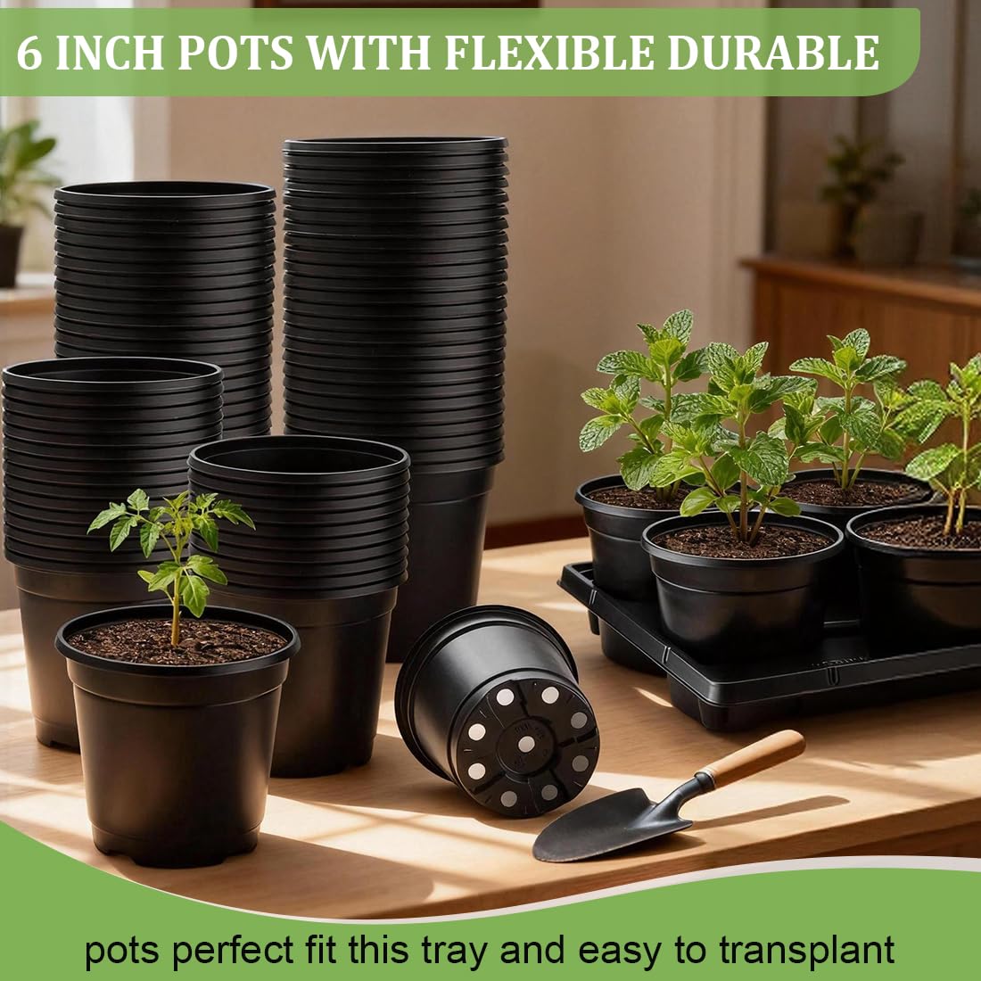RooTrimmer watering-friendly trays stabilize pots during daily care.