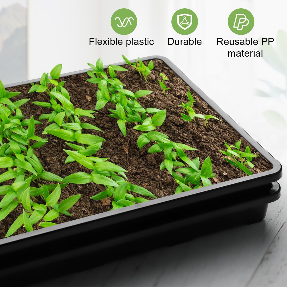 RooTrimmer trays for wheatgrass, bonsai, and cat grass in indoor gardening