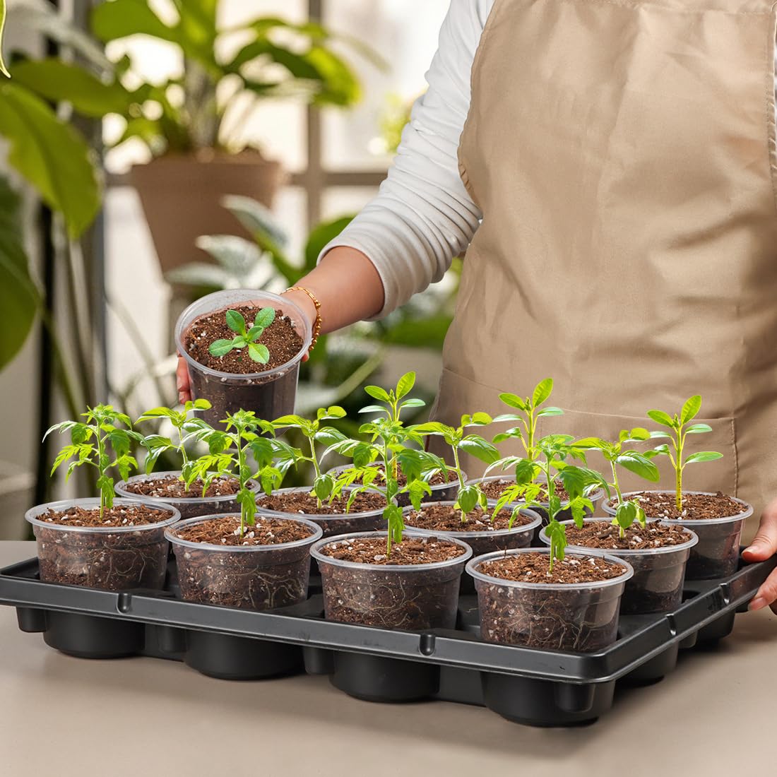RooTrimmer nursery trays suit greenhouse or home gardens and store neatly.