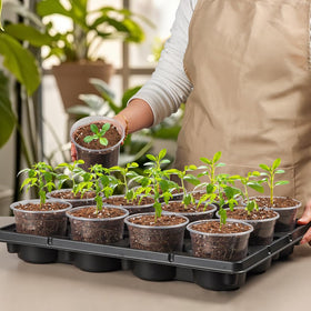 RooTrimmer nursery trays suit greenhouse or home gardens and store neatly.