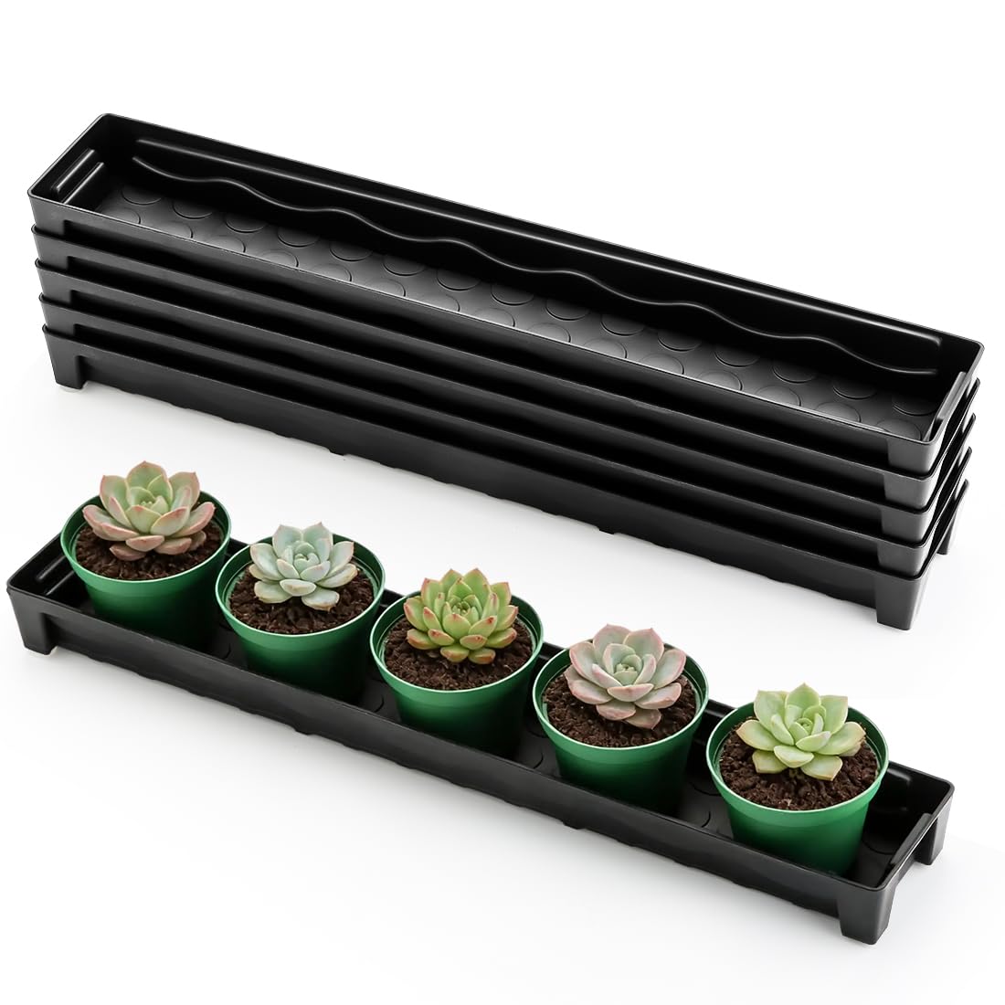 RooTrimmer window sill saucer five-pack keeps pots tidy on bright windows