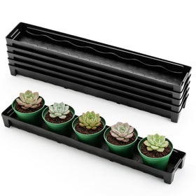RooTrimmer window sill saucer five-pack keeps pots tidy on bright windows