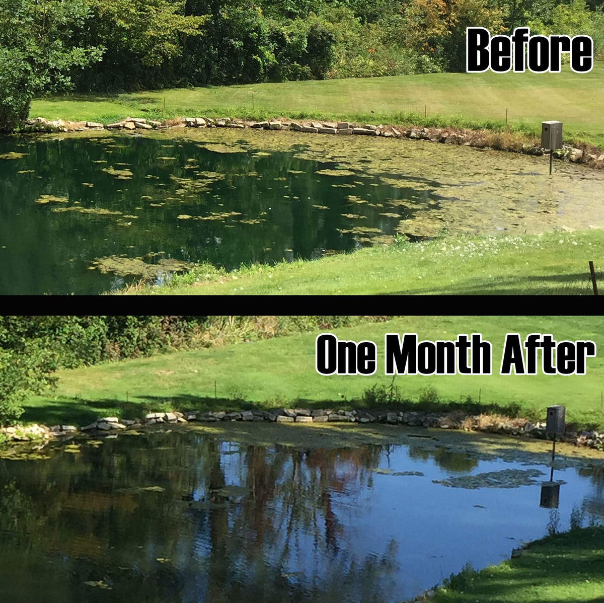 Rootscape diffuser demonstrates clear surface water through efficient aeration.