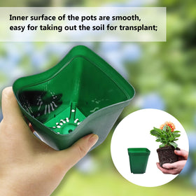 RooTrimmer 1020 tray-ready seedling pots arranged for efficient nursery propagation.