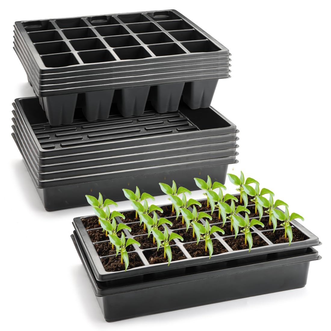 RooTrimmer 20-cell seedling tray plug shows uniform cells for even germination.