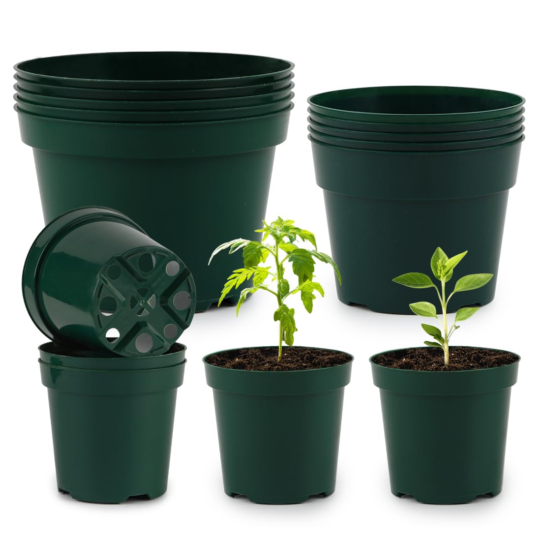 RooTrimmer 4 inch green nursery pot ideal for seedlings and starting crops