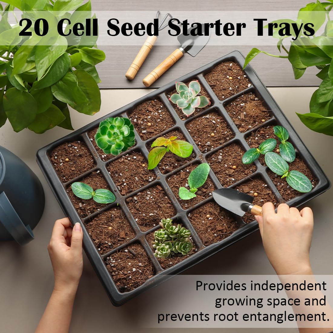 RooTrimmer complete seed-start kit for indoor to outdoor care.