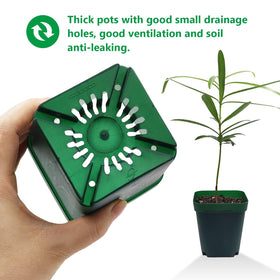 RooTrimmer dark green germination pots highlight ample soil for growth.