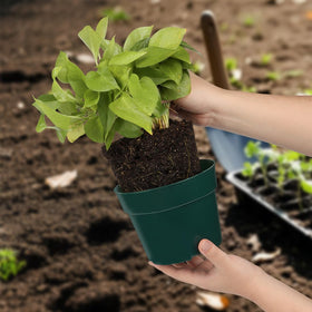 RooTrimmer pot with eight drainage holes for moisture control