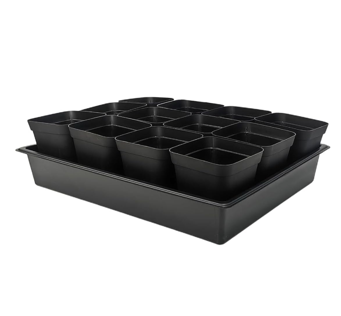 RooTrimmer seedling trays with 60 pots for efficient starter batch planting.