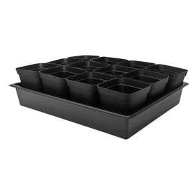 RooTrimmer seedling trays with 60 pots for efficient starter batch planting.