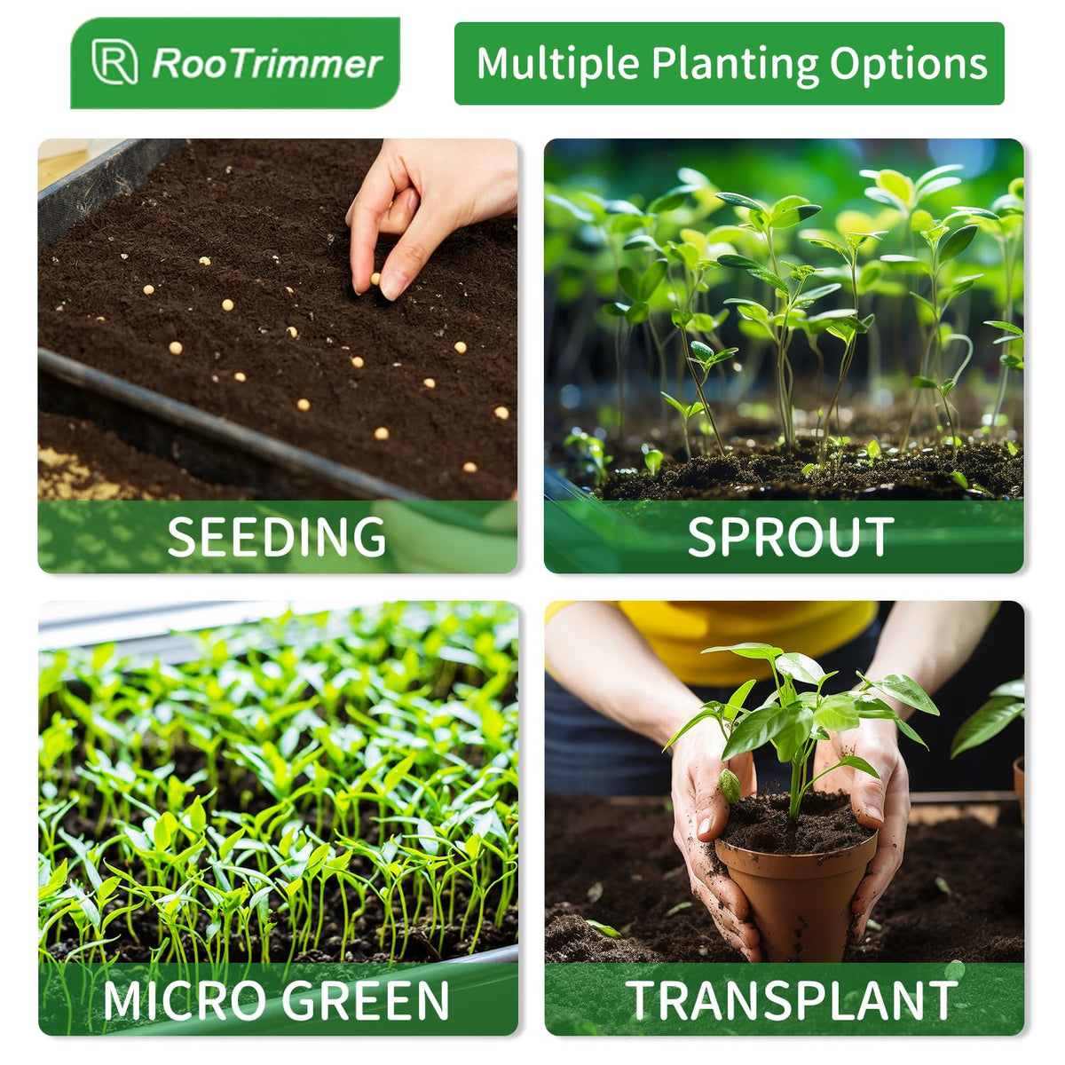 RooTrimmer durable PS plastic tray is easy to clean and reuse.