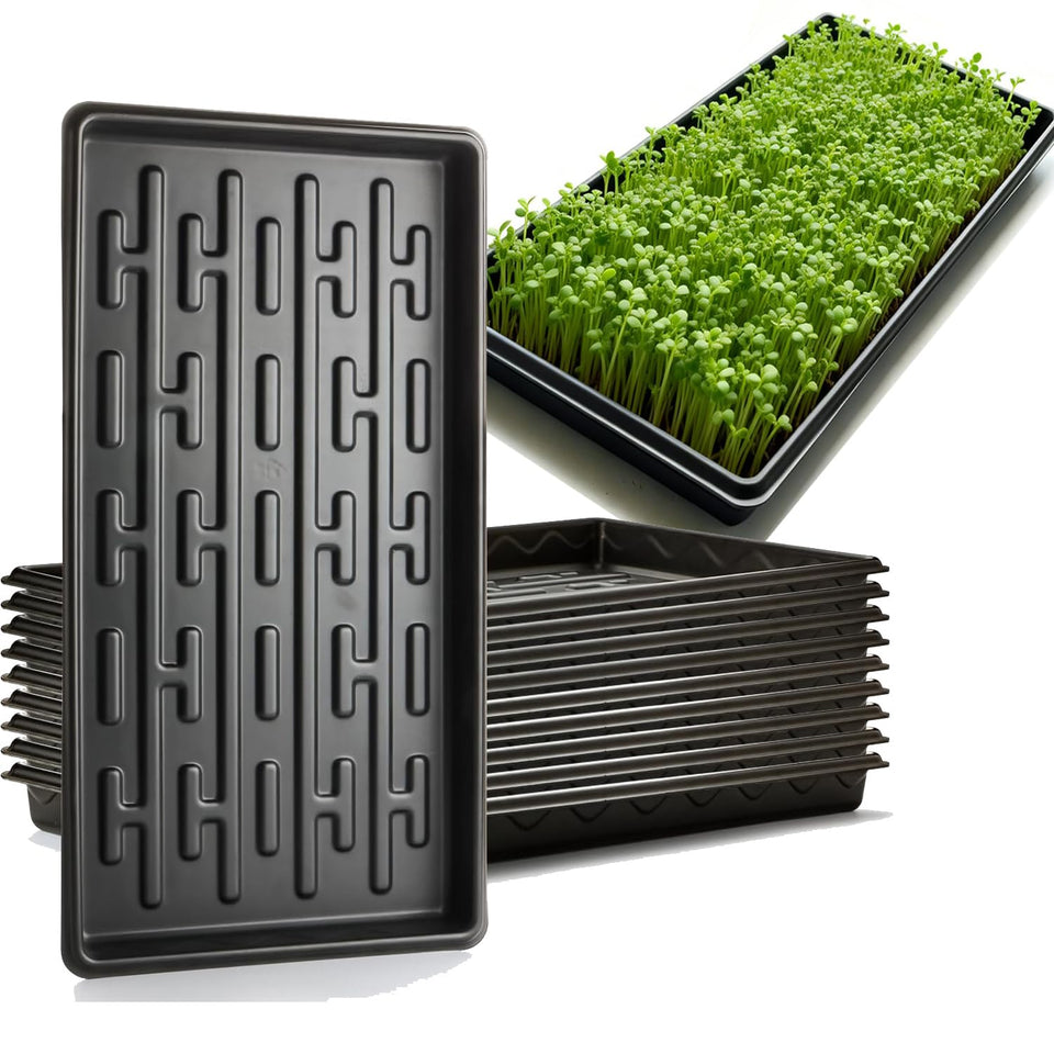 RooTrimmer shallow 1020 tray top view provides stable surface for 200-cell plugs.