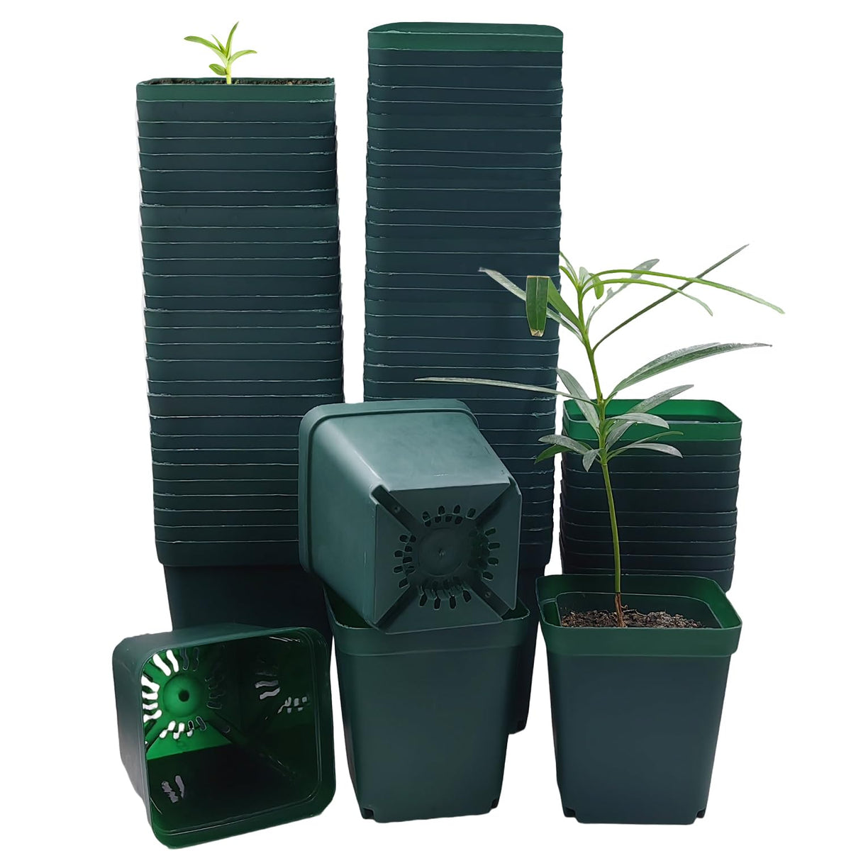 RooTrimmer square seedling pot top view shows sturdy design for propagation.
