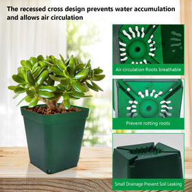 RooTrimmer thick durable plastic pot ideal for repeated use during seed starting.
