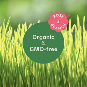Close-up of Rose & Branch seeds highlighting premium organic grains.