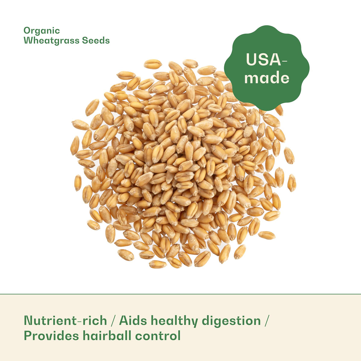 Wheatgrass sprouts in 4 to 7 days with Rose & Branch seeds.