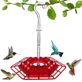 Roself hummingbird feeder with 30 ports for vibrant garden visits