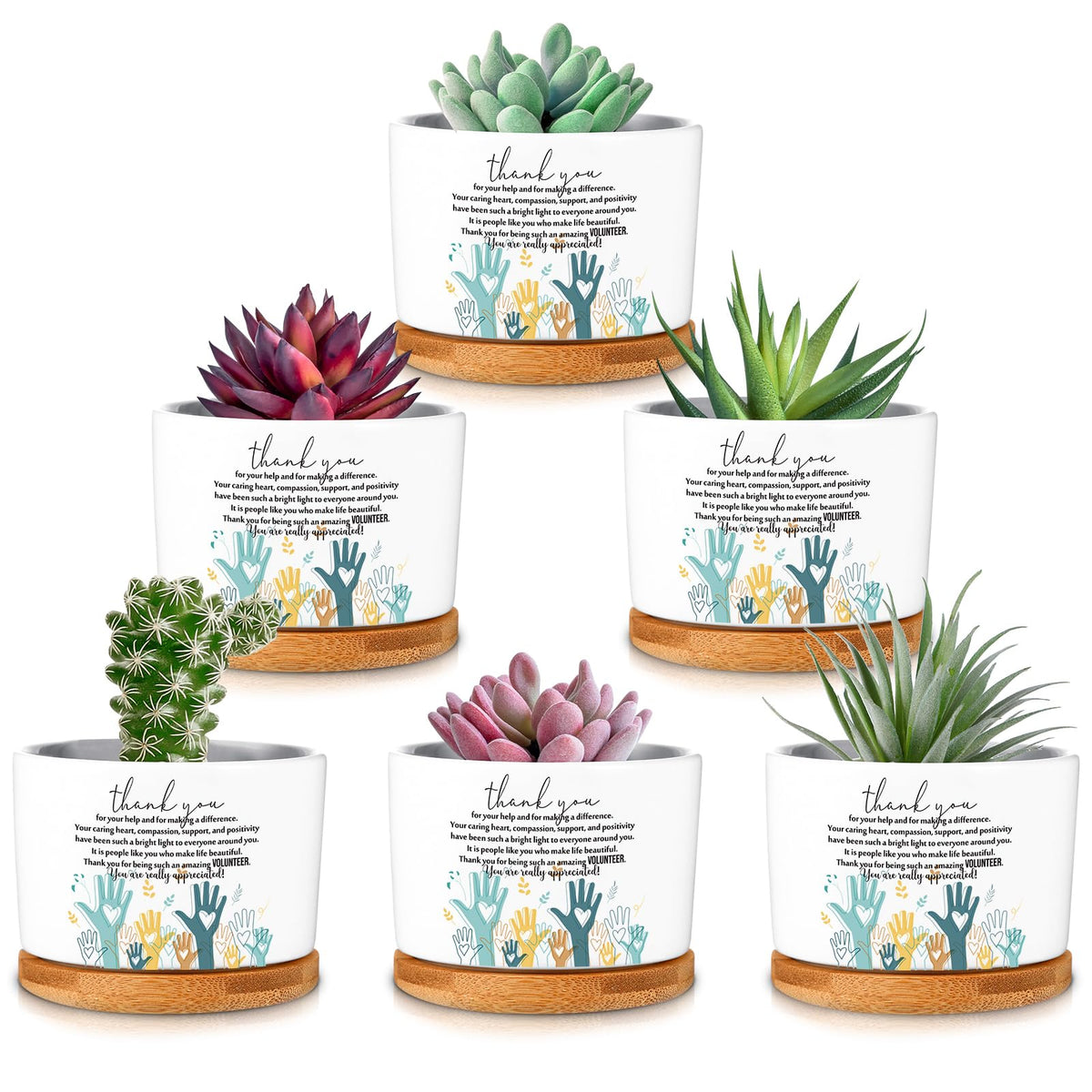 Roshtia ceramic succulent pot with bamboo tray, six-pack for desk gifts.