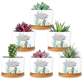 Roshtia ceramic succulent pot with bamboo tray, six-pack for desk gifts.