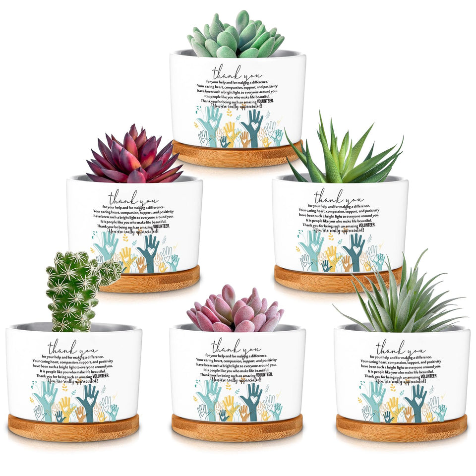 Roshtia ceramic succulent pot with bamboo tray, six-pack for desk gifts.