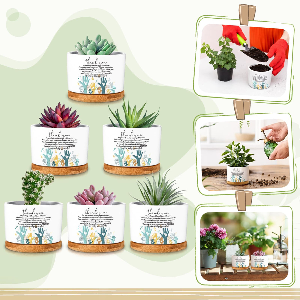 Roshtia mini ceramic pots white 3-15 diameter ideal for small plants.