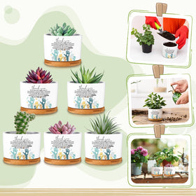 Roshtia mini ceramic pots white 3-15 diameter ideal for small plants.