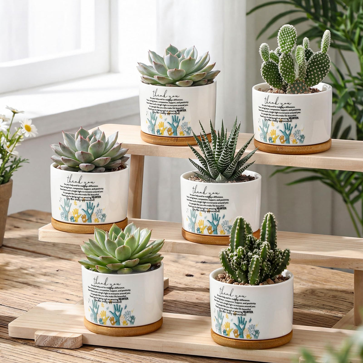 Roshtia packaged pots with trays shown as a bulk gift option.