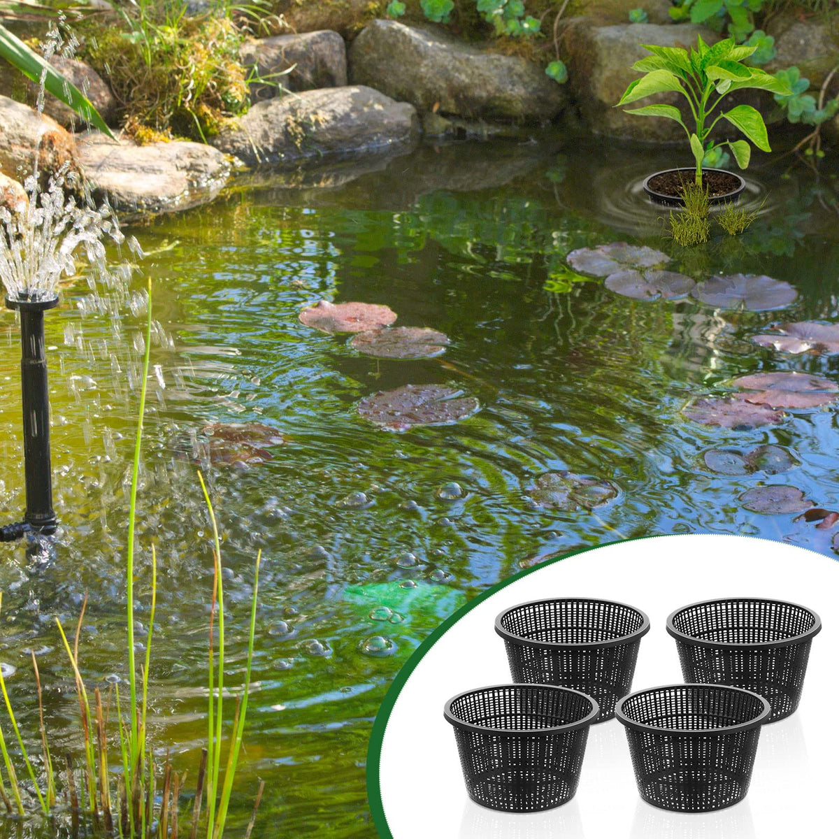 Roshtia slotted pond basket water-flow view emphasizes efficient root circulation.