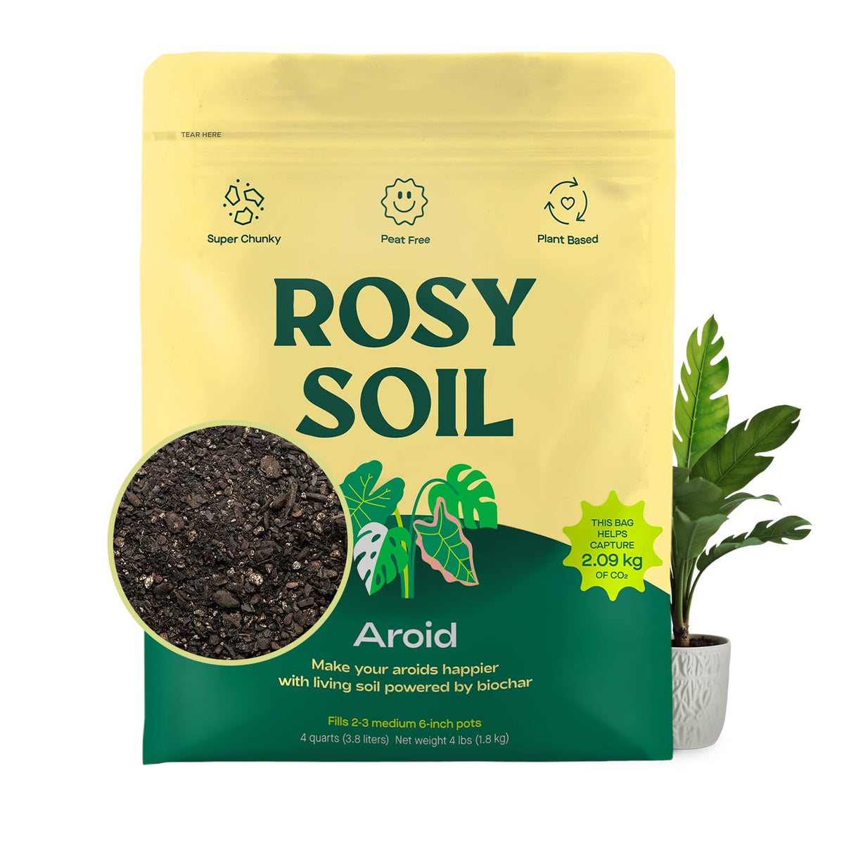Rosy Soil aroid soil mix with chunky texture for improved drainage and root health