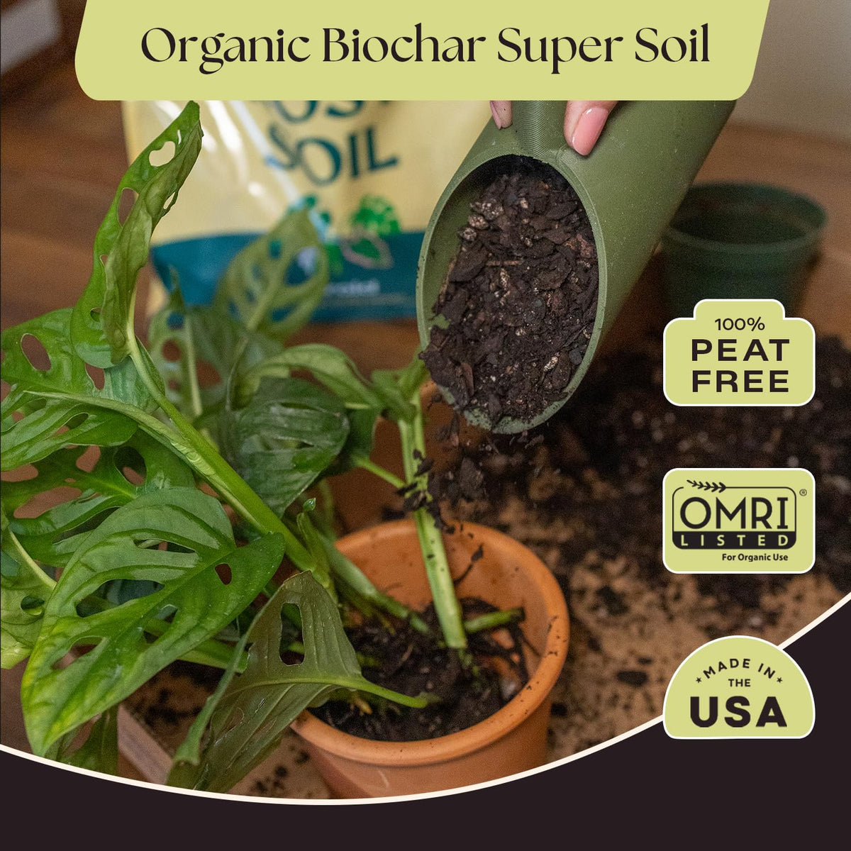 Rosy Soil peat-free mix supports breathable soil structure for resilient indoor aroids