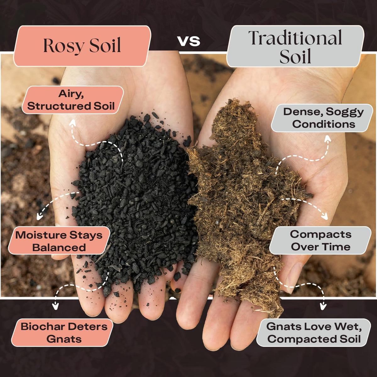 Rosy Soil enriched with beneficial microbes and worm castings for desert plants