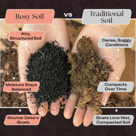 Rosy Soil enriched with beneficial microbes and worm castings for desert plants