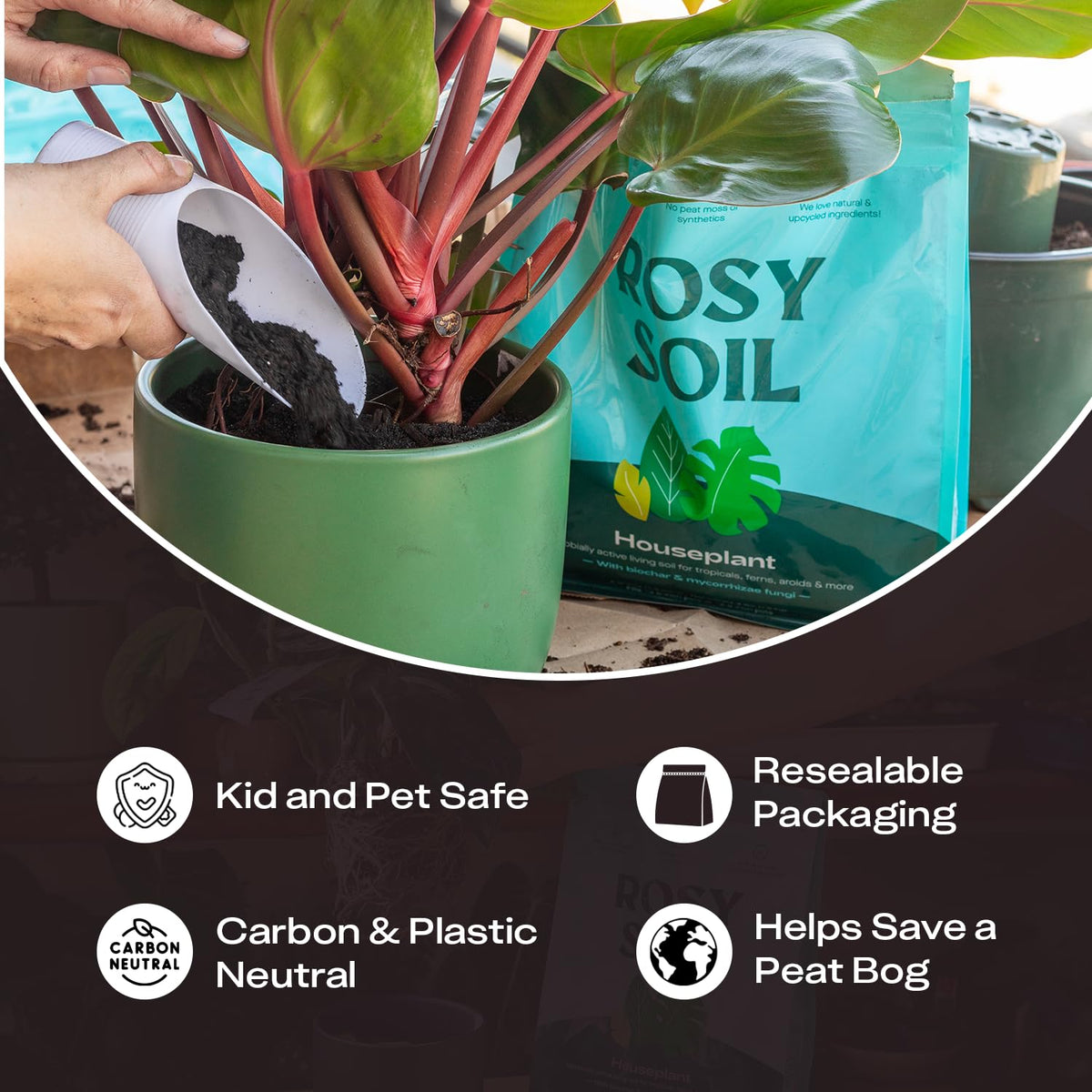 Rosy Soil beneficial microbes graphic highlighting soil life and growth support