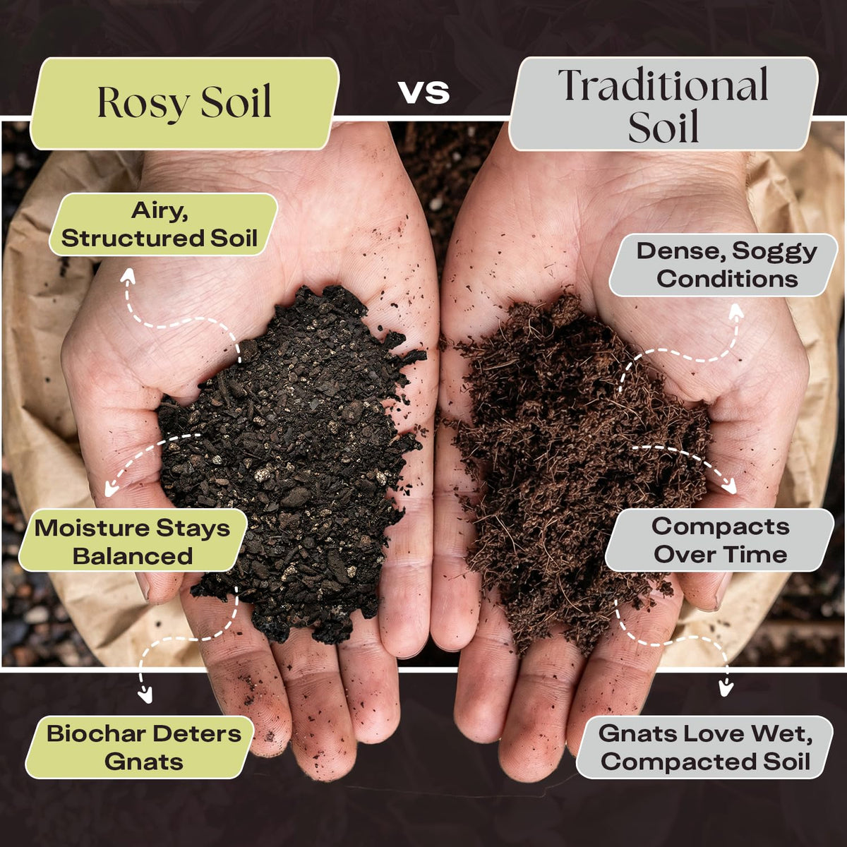 Rosy Soil biochar-powered mix retains moisture while boosting aeration for potted aroids
